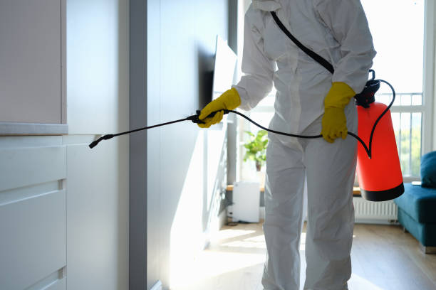 Best Industrial Mold Remediation in The Galena Territory, IL
