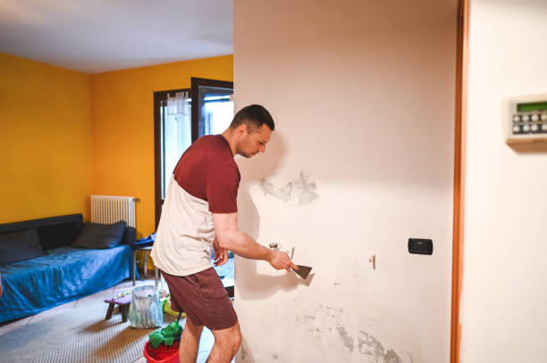 Best Post-Flood Mold Remediation in The Galena Territory, IL